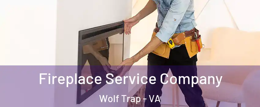  Fireplace Service Company Wolf Trap - VA