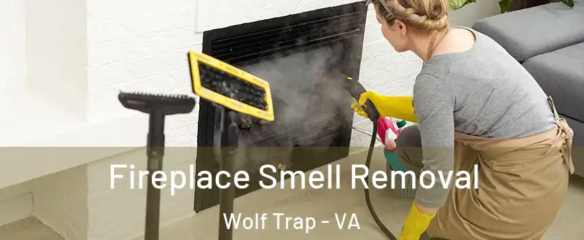  Fireplace Smell Removal Wolf Trap - VA
