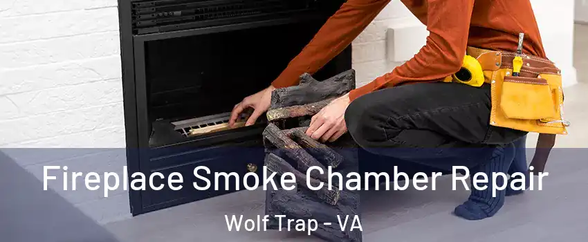  Fireplace Smoke Chamber Repair Wolf Trap - VA
