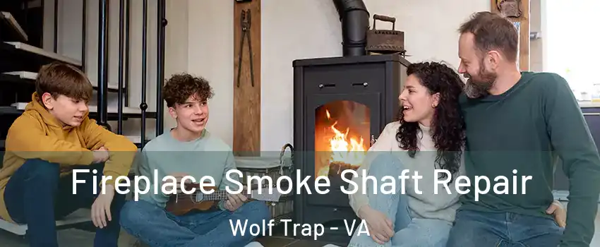  Fireplace Smoke Shaft Repair Wolf Trap - VA