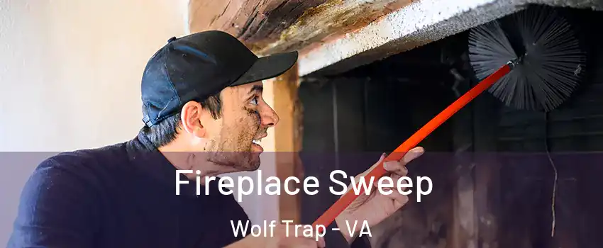  Fireplace Sweep Wolf Trap - VA