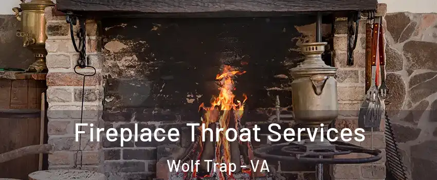  Fireplace Throat Services Wolf Trap - VA