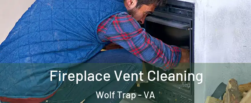  Fireplace Vent Cleaning Wolf Trap - VA