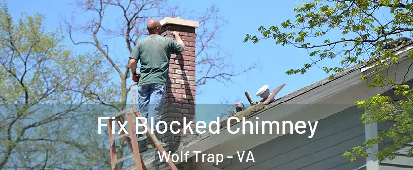  Fix Blocked Chimney Wolf Trap - VA