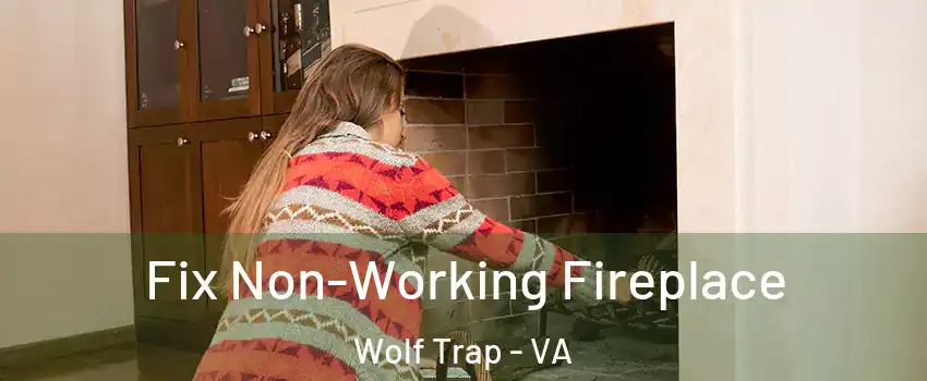  Fix Non-Working Fireplace Wolf Trap - VA