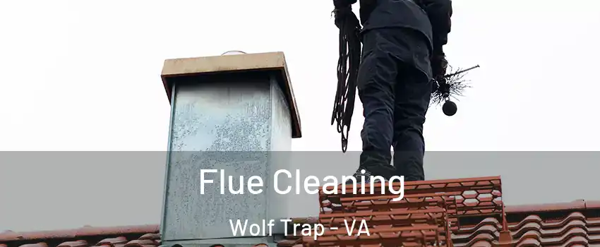  Flue Cleaning Wolf Trap - VA
