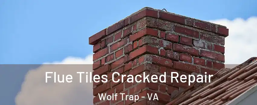  Flue Tiles Cracked Repair Wolf Trap - VA