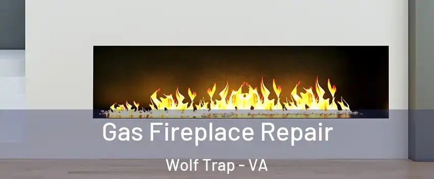  Gas Fireplace Repair Wolf Trap - VA