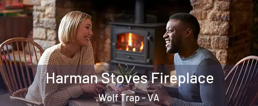  Harman Stoves Fireplace Wolf Trap - VA