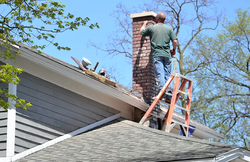 Chimney & Fireplace Inspections Services in Wolf Trap, VA
