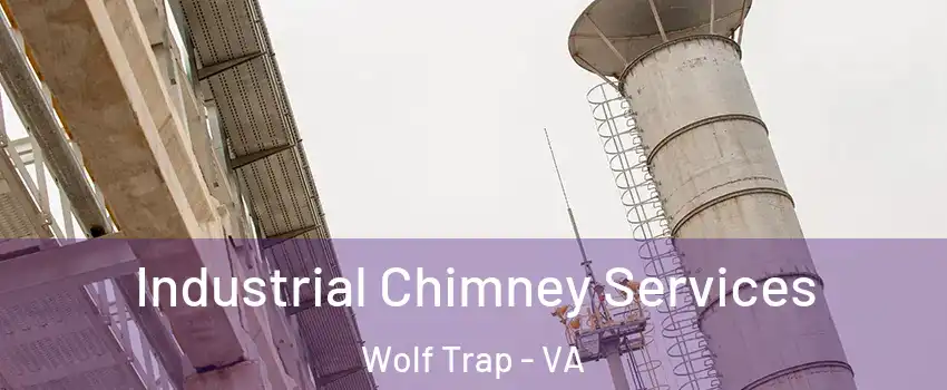  Industrial Chimney Services Wolf Trap - VA