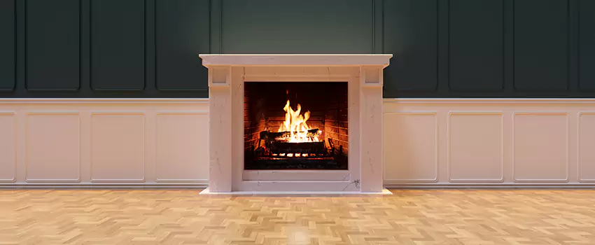 Napoleon Electric Fireplaces Inspection Service in Wolf Trap, Virginia
