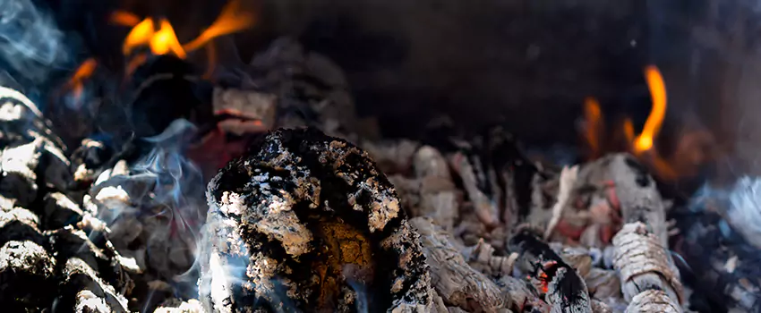 Creosote Removal Experts in Wolf Trap, VA