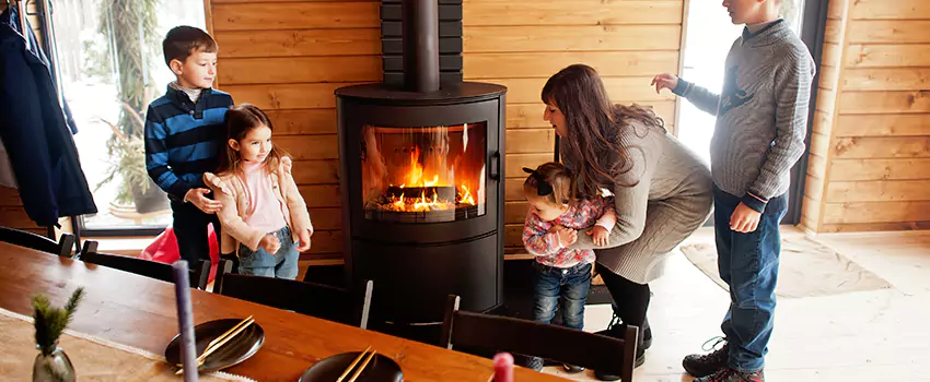 Jøtul Gas Fireplace Inspection Service in Wolf Trap, Virginia