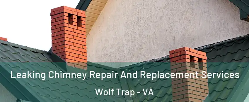  Leaking Chimney Repair And Replacement Services Wolf Trap - VA