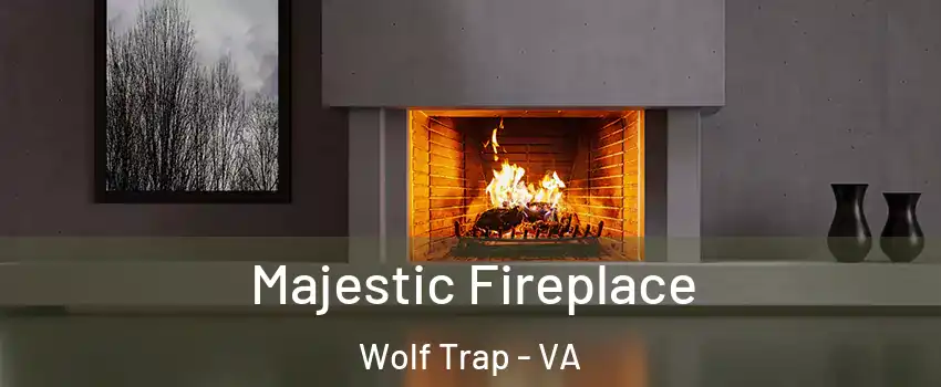  Majestic Fireplace Wolf Trap - VA