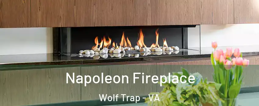  Napoleon Fireplace Wolf Trap - VA