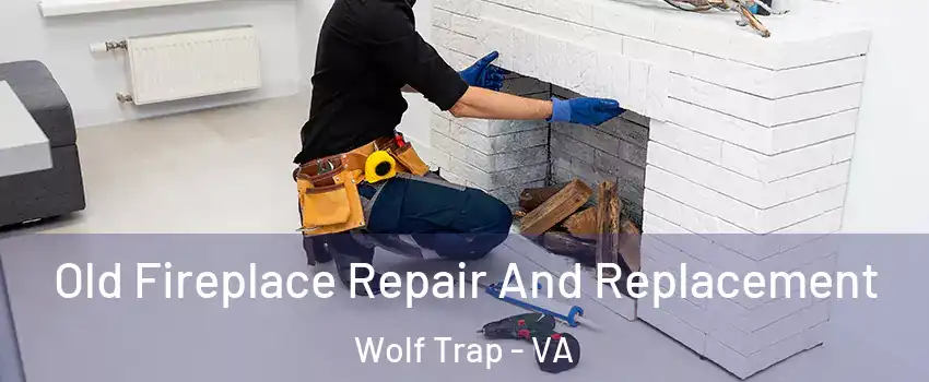  Old Fireplace Repair And Replacement Wolf Trap - VA