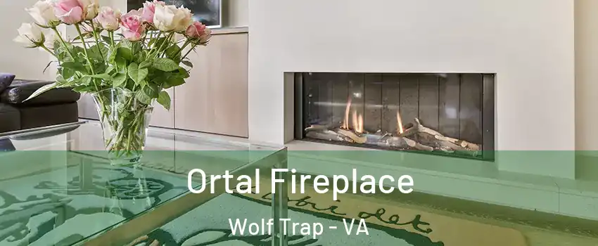  Ortal Fireplace Wolf Trap - VA