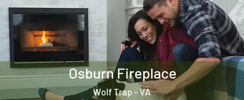  Osburn Fireplace Wolf Trap - VA