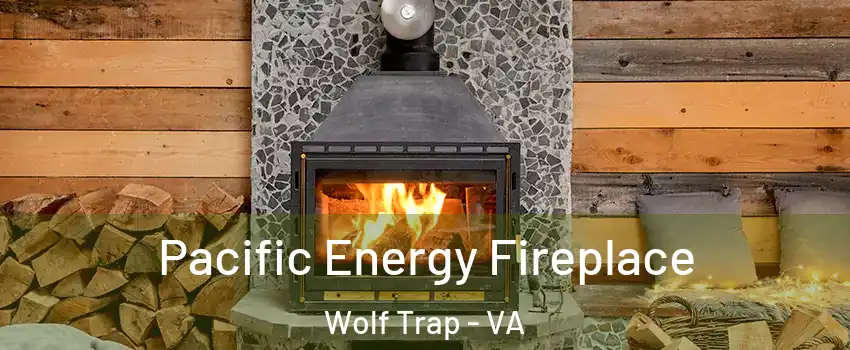  Pacific Energy Fireplace Wolf Trap - VA