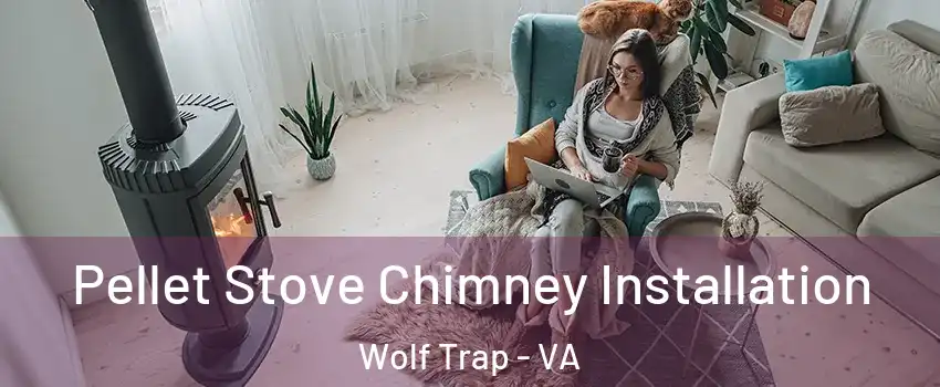  Pellet Stove Chimney Installation Wolf Trap - VA