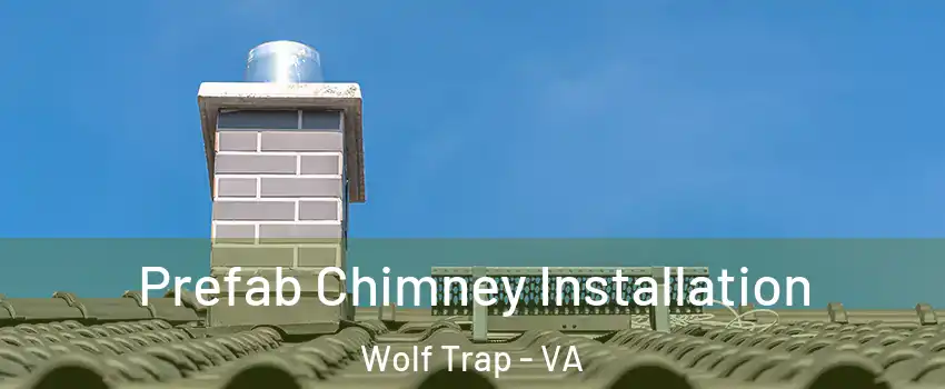  Prefab Chimney Installation Wolf Trap - VA
