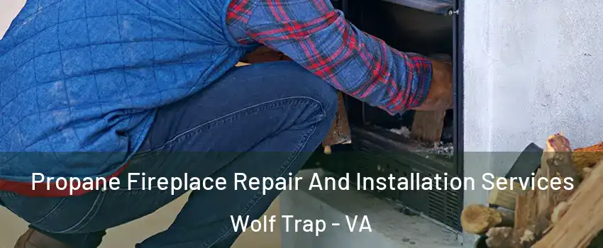  Propane Fireplace Repair And Installation Services Wolf Trap - VA