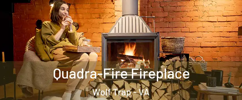  Quadra-Fire Fireplace Wolf Trap - VA
