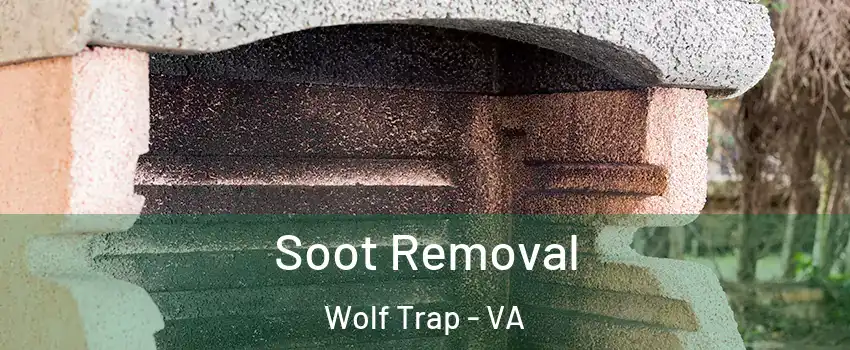  Soot Removal Wolf Trap - VA