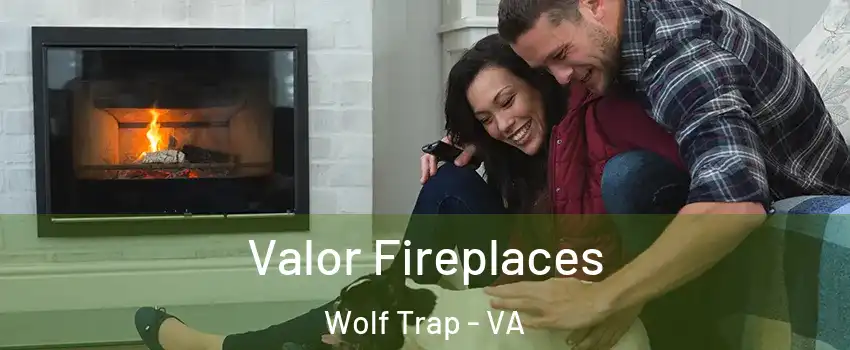  Valor Fireplaces Wolf Trap - VA