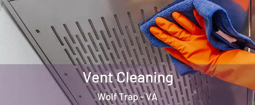  Vent Cleaning Wolf Trap - VA