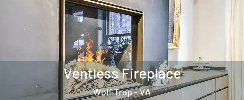  Ventless Fireplace Wolf Trap - VA