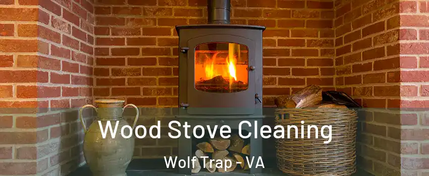  Wood Stove Cleaning Wolf Trap - VA