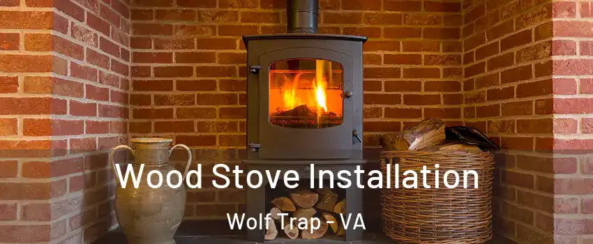  Wood Stove Installation Wolf Trap - VA